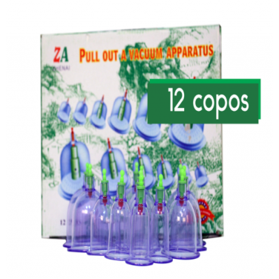 Zhennai 12 Cups for Massage With pump + magnet and extension hose